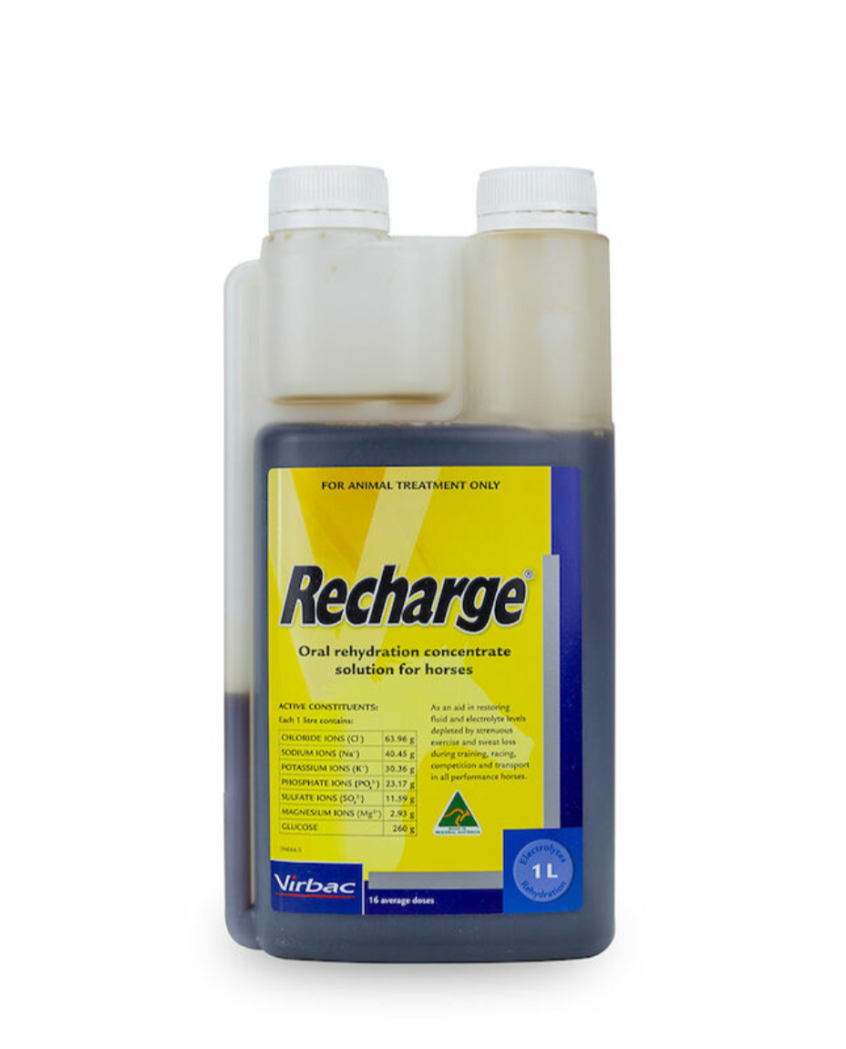 Recharge Oral Rehydration Electrolyte Solution For Horses