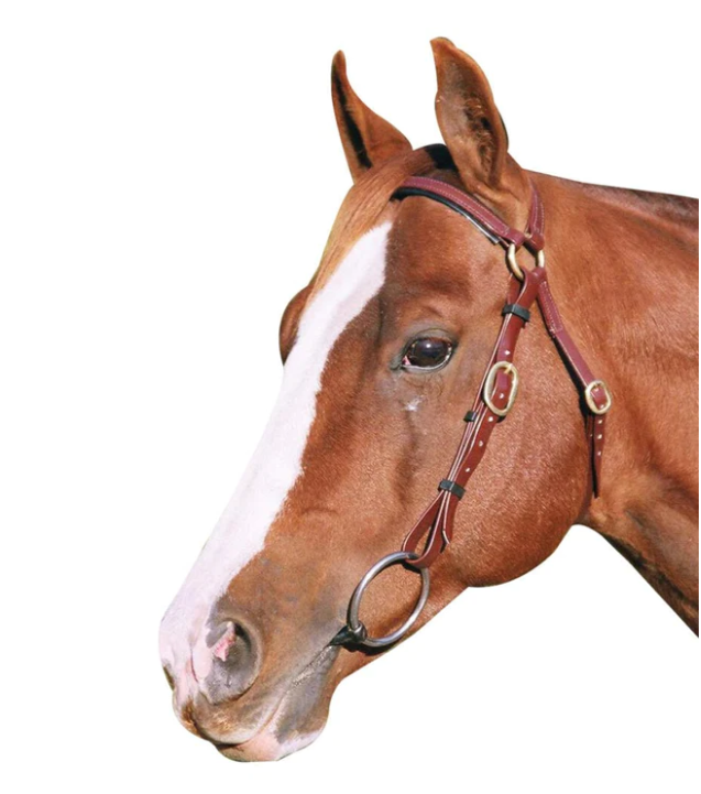 Showcraft PVC Barcoo Bridle