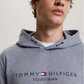 Tommy Hilfiger Williamsburg Graphic Hoodie